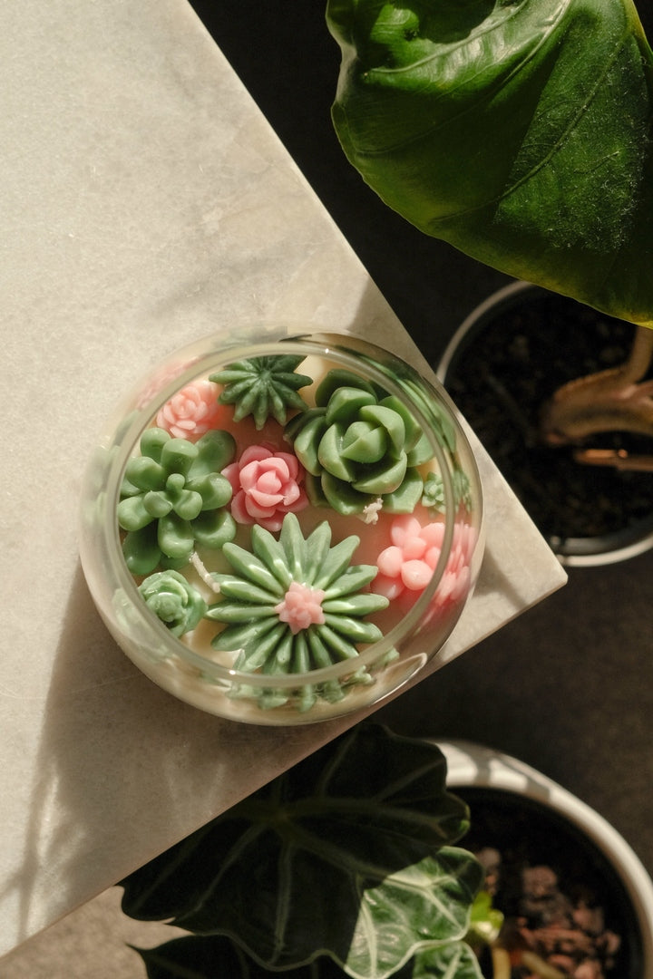 Bethel - Terrarium Candle - faith&joy