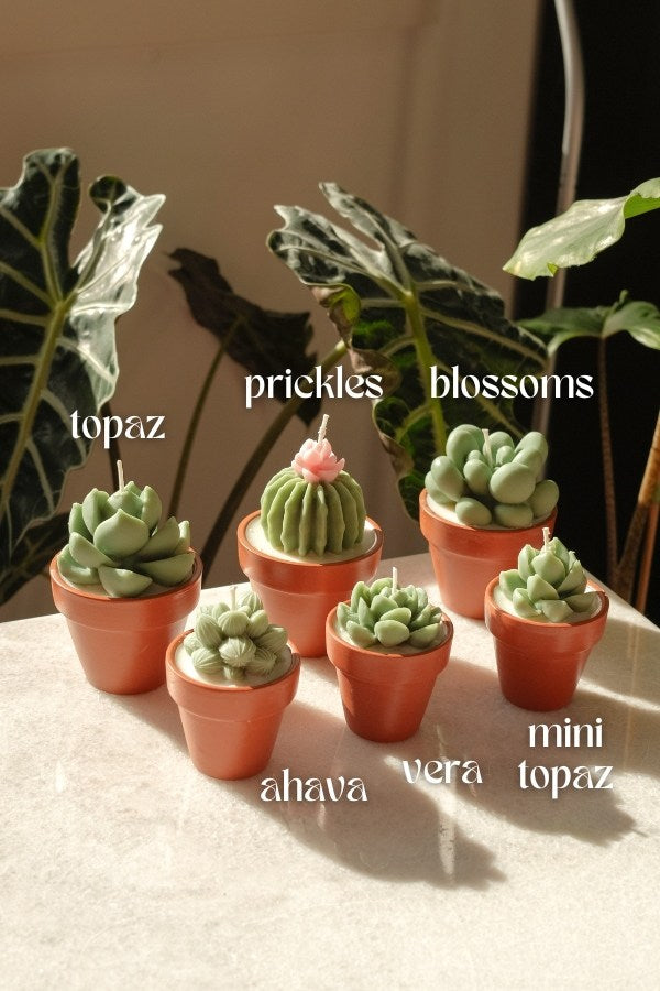 Potted Succulent Candle - faith&joy