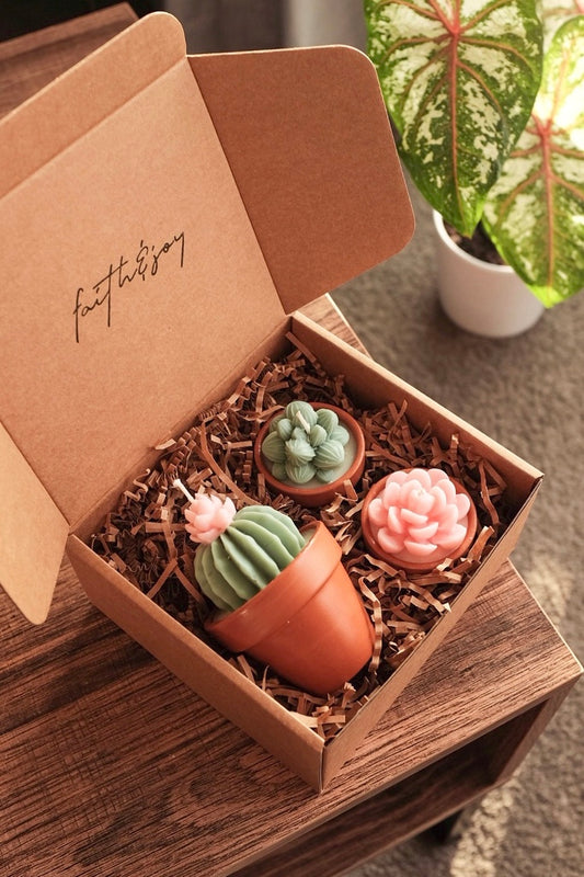 Potted Succulents Candle Bundle