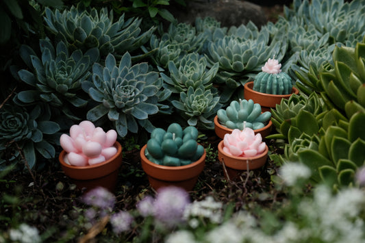 The Power of Supporting Small Businesses: Why Every Purchase Matters - faith&joy