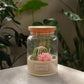 Garden of Eden - Terrarium Candle