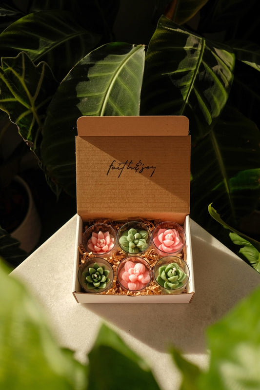 Succa For You - 6 Pack Tealights - faith&joy