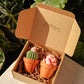 Potted Succulents - 2 Pack - faith&joy