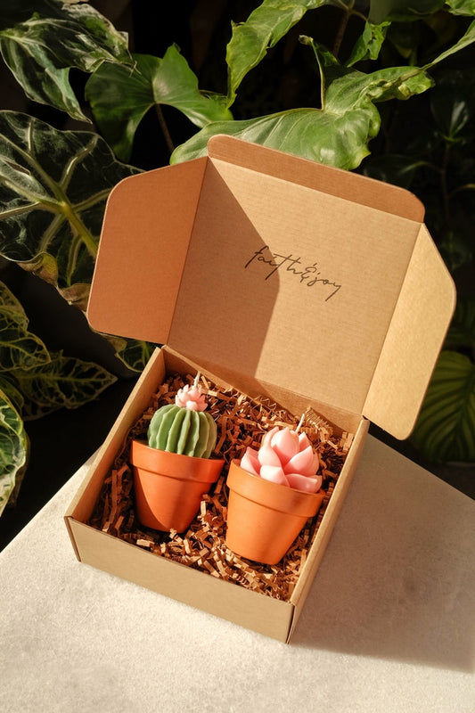 Potted Succulents - 2 Pack - faith&joy