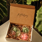 Judean's Bundle Box - faith&joy