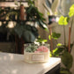 Meira's Garden - Terrarium Candle