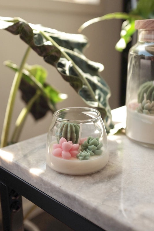 Judean Desert - Mini Terrarium Candle - faith&joy