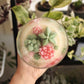 Zion's Desert - Terrarium Candle
