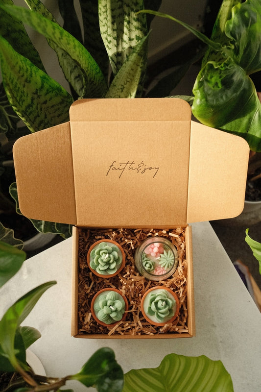 Potted Paradise Bundle - faith&joy