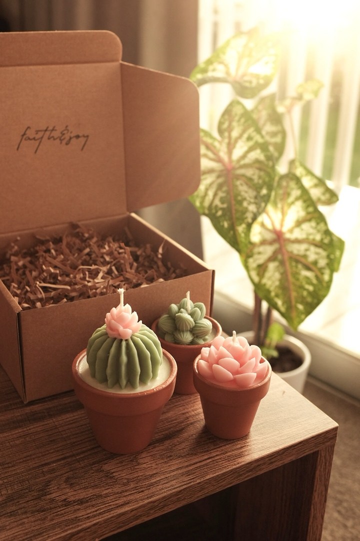 Potted Succulents Candle Bundle